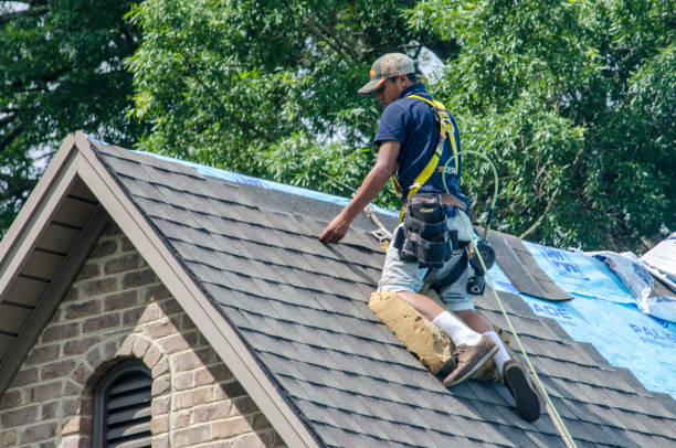 Best New Roof Installation  in Edgewood, MD